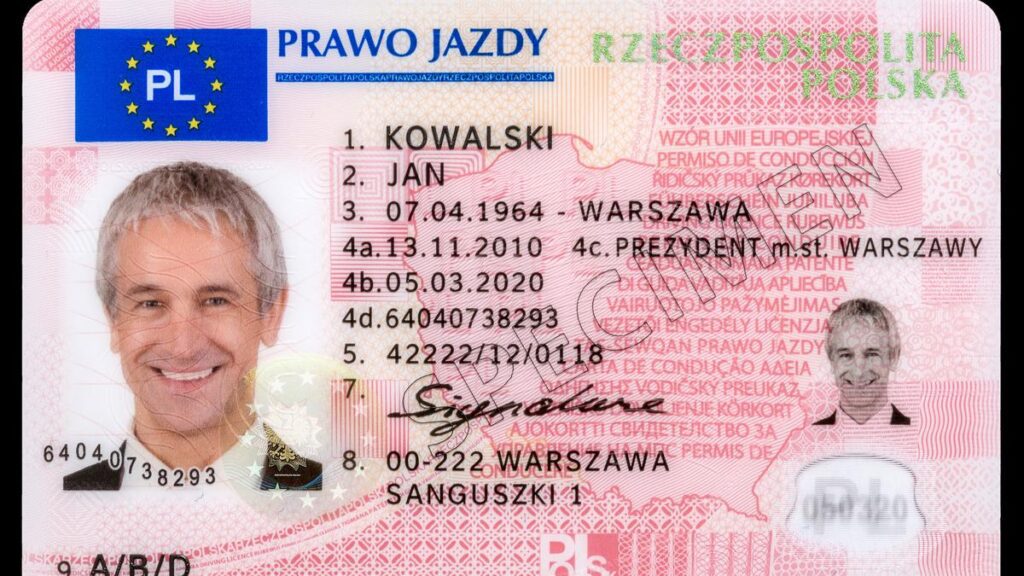 Kupić Prawo Jazdy bez Wychodzenia z Domu Online